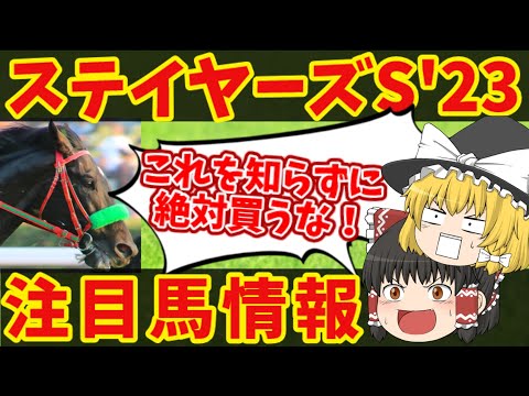 【ステイヤーズステークス】超長距離戦でひと稼ぎ！！知らないと損をする注目馬の情報！