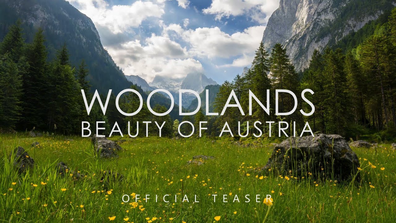 WOODLANDS - Beauty of Austria - TRAILER | 4K