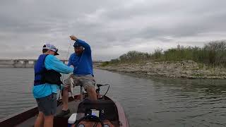 Big Bass and Gators at Choke Canyon Texas