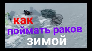 как поймать где поймать как наловить  раков зимой на китайскую раколовку