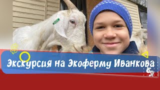 Экскурсия на Экоферму Иванкова