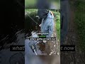 Fisherman Shocked After Catching Rare Fish 😳