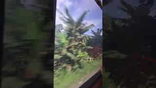 Journey by Bus Jessore to Barisal Part-25