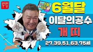 [용한점집]신바람이법사의 6월달 이달의공수 개띠 나이대별27,39,51,63,75세 #신바람이법사 010.2…