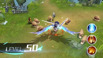 Legacy of Destiny - Running and level-up Type.C