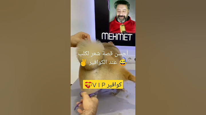 قصة شعر💝😜 فاخرة لكلب V I P عند أمهر حلاق للكلاب في العالم💖😁😝😍😋😅😉
