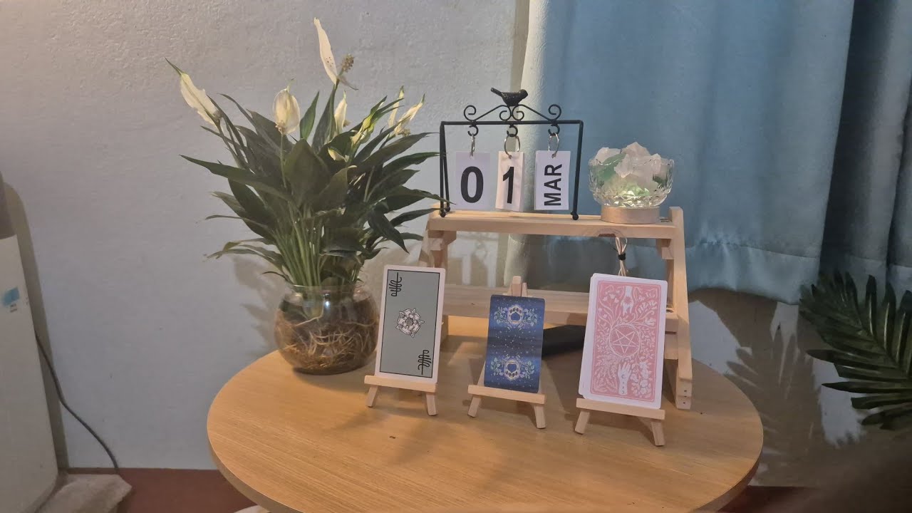 Trải bài Tarot cho ngày 01/03/2036