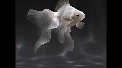 "Swim animation test" - Making a goldfish app in Unity