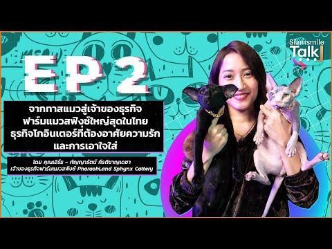 จากทาสแมวสู่เจ้าของฟาร์มแมวสฟิงซ์ที่ใหญ่ที่สุดในไทย EP. 2