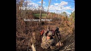 Deer Hunting | Alabama Rut is Here | 2024 - Episode 9   #deerhunting #hunting #deerhunter #alabama