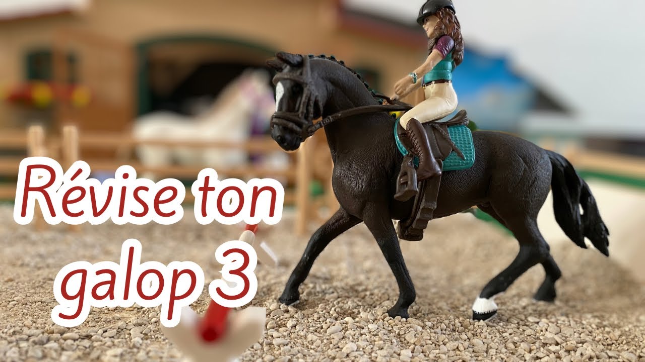 Révise ton galop 3 avec Lisa