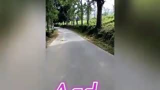 KEBUN TEH TARAJU TASIK | te tiasa mudik