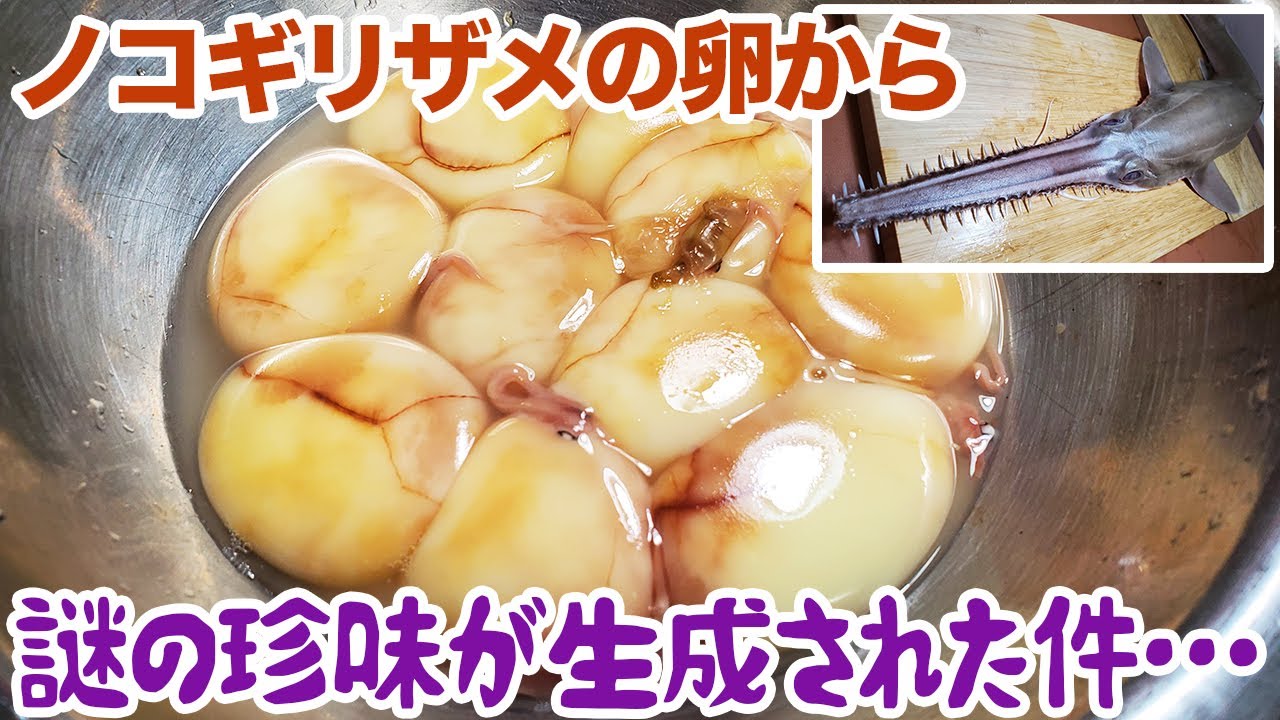 ノコギリザメの卵で、よくわからない珍味ができた。