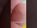Hundreds of glass fibers. One cable. This is your internet.