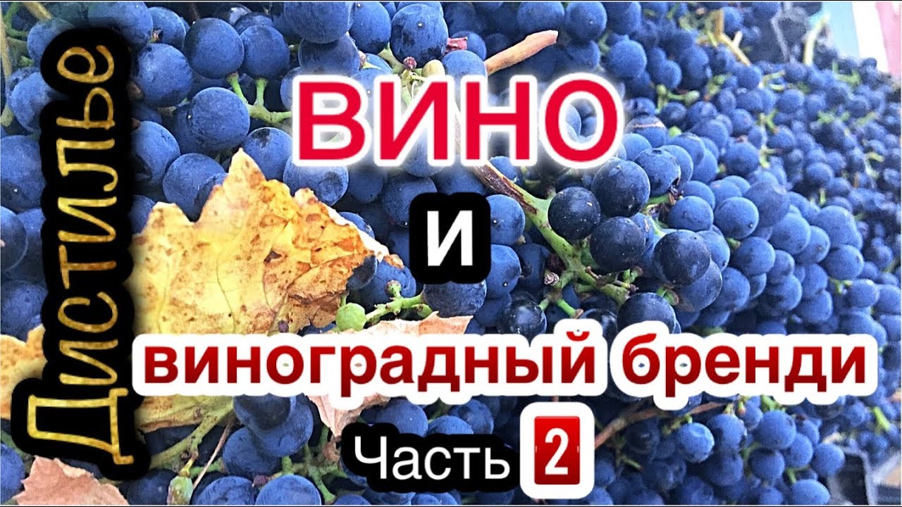 Машина жорж чача Машина жорж чача