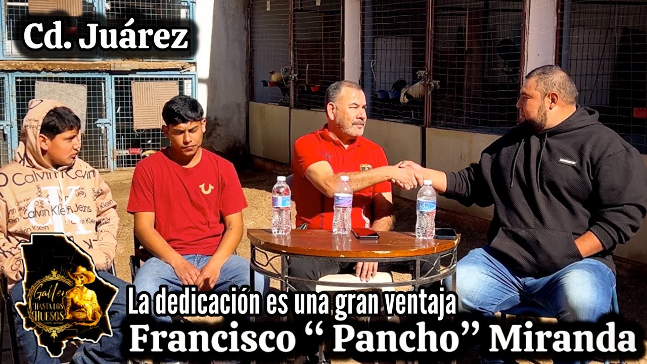 Francisco Mirando / Por mi papá inicié con los gallos. 