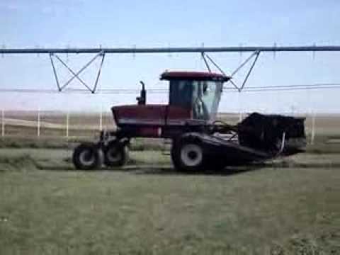 Silage Harvest 2008