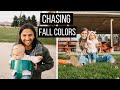 Chasing Fall Colors in Utah! Were we too late?? Picnic and swings at the best park ever!!