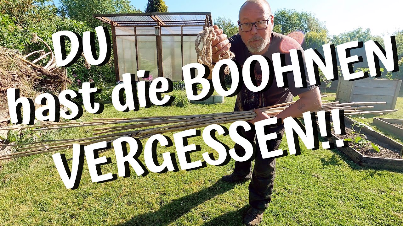 Kein Platz mehr im Beet? Da geht noch was / Pflanzen und Aussaat im Mai / Rankhilfe für lau