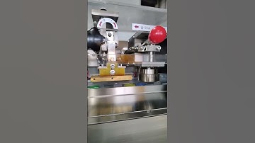 Horizontal packing machine --Focus Machinery