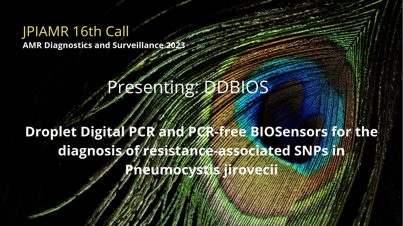 Discover DDBIOS - supported project in the 2023 JPIAMR call