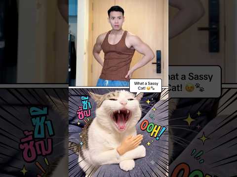 The Audacity of this Cat! [Nam Phương] #namphuong #shorts #funny #comedy #action