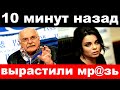 10 минут назад / &quot; вырастили мр@зь&quot; / Михалков шокировал своим поступком