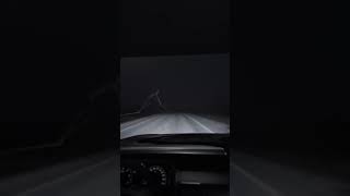 Country Road Creature Really Said