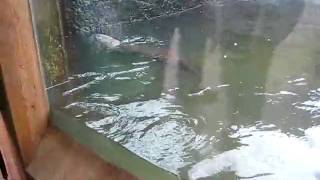 MVI_1380.AVI