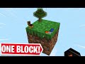 MINECRAFT, BUT YOU ONLY GET ONE BLOCK..