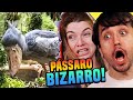 DINOSSAUROS AINDA EXISTEM?