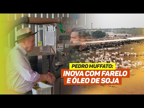 MÁQUINA DE FARELO E ÓLEO DE SOJA: PEDRO MUFFATO INOVA E GARANTE SUSTENTABILIDADE EM SAPEZAL, MT