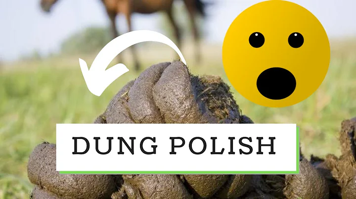 Smearing our Mud House Floor with Fresh Cow Poop ! | Ukusinda