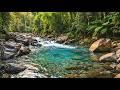 Pure Flowing River Sounds 🍃 Natural White Noise for Focus