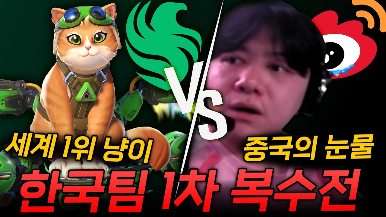 세최 고양이의 등장과 만년 2등의 눈물ㅣ팔콘 2일차