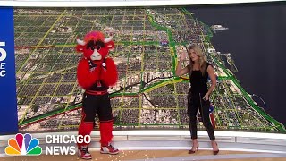Benny the Bull joins Kye Martin for a live traffic report