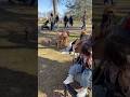 Cherry blossom park (Branch Brook park) #indianinusa #lifeinamerica #vlog #nature #flowers #india
