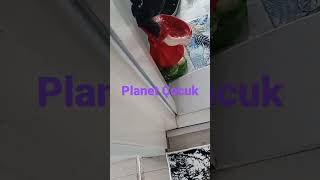 Planet Çocuk Pepee Resimi