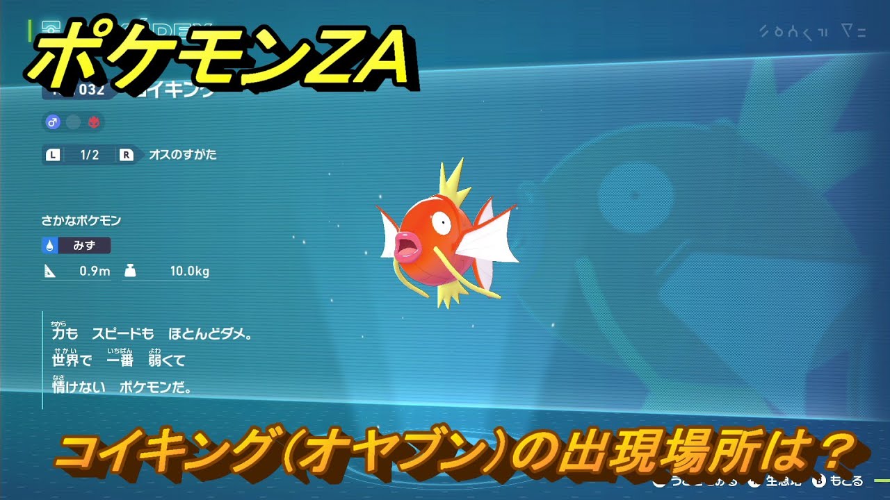 コイキングat ポケモンZA コイキング（オヤブン）の出現場所は？図鑑032