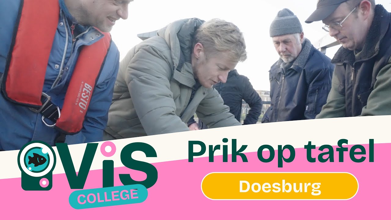 VisReportage Doesburg - Prik op tafel