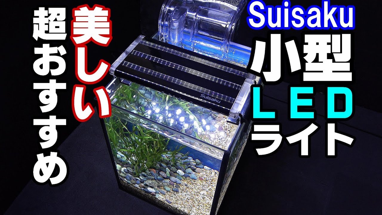水作】小型LEDライト15cm！フォルムも光も美しい！【ドンコ水槽㉓】 - YouTube