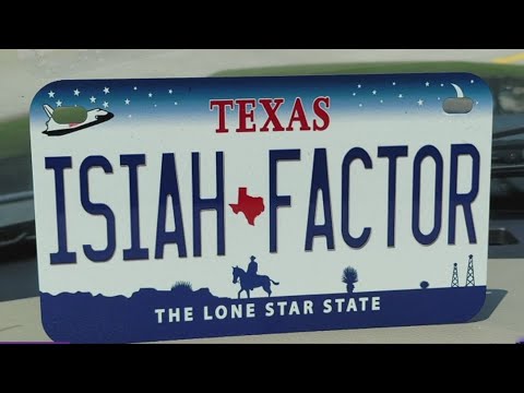 Decorative license plate warning