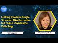 Linking Cytosolic Single-Stranded DNA Formation to Fragile X Syndrome Pathology