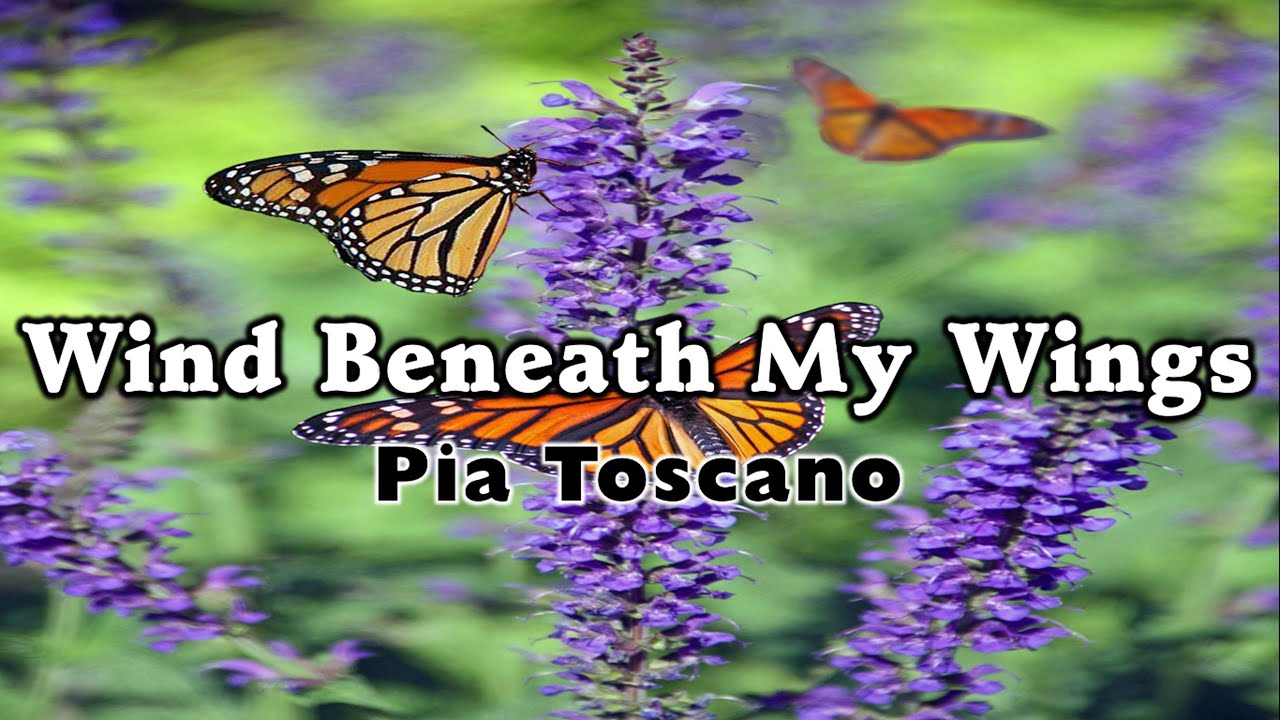 WIND BENEATH MY WINGS (lyrics) Pia Toscano YouTube