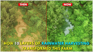 10-Step RAIN WATER HARVESTING That Changed Everything In This Farm