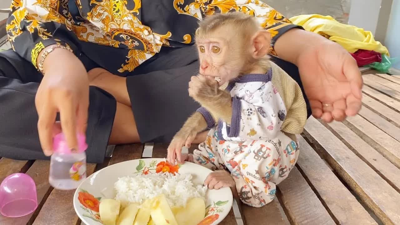 Mom Preparing Rice And Apple For Baby DAM Having Lunch Delicious