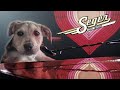 Capture de la vidéo Adopting Seger: An Out Of This World Dog - Hybrid Documentary