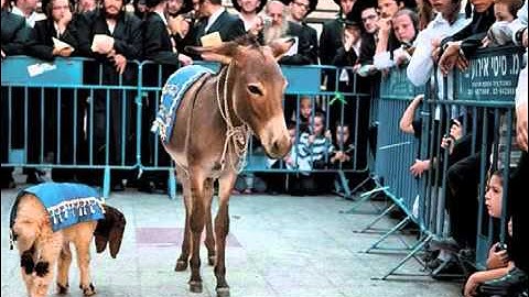 Jacob Prasch   Consecration of the Firstborn