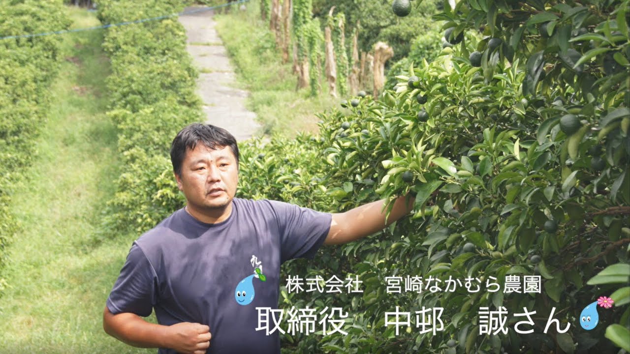共立スプリンクラー【30ーP3】花、果樹、野菜【360°及び角度指定が出来 共立スプリンクラー【30ーP3】花、果樹、野菜【360°及び角度指定が出来
