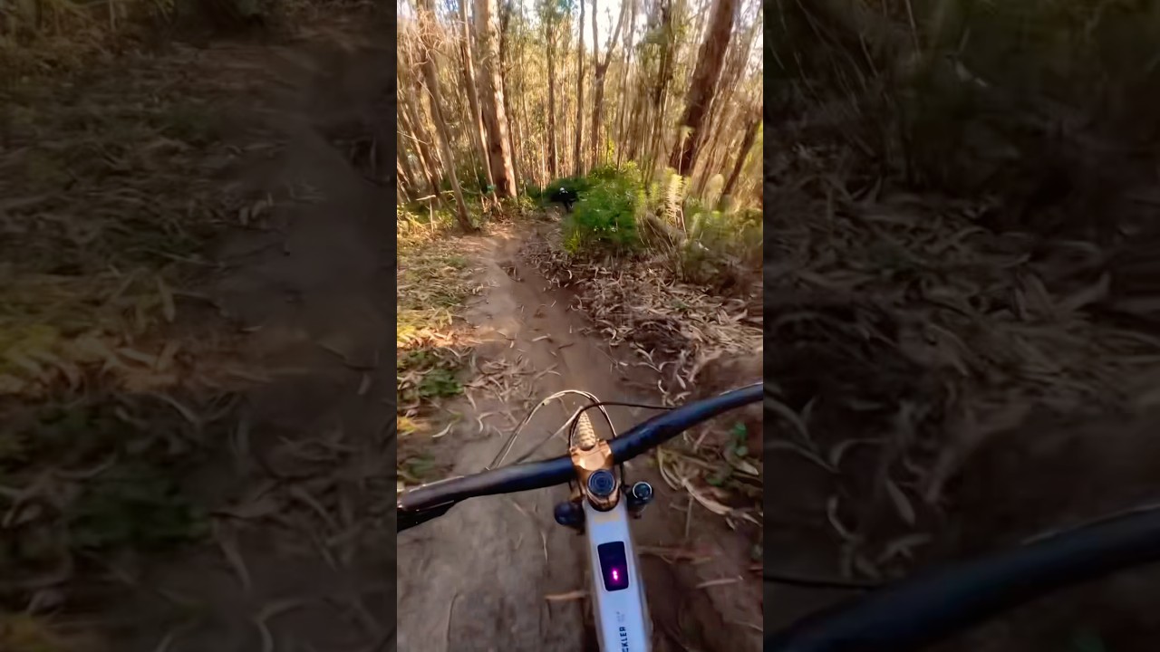When the New Trail turns Steep! 